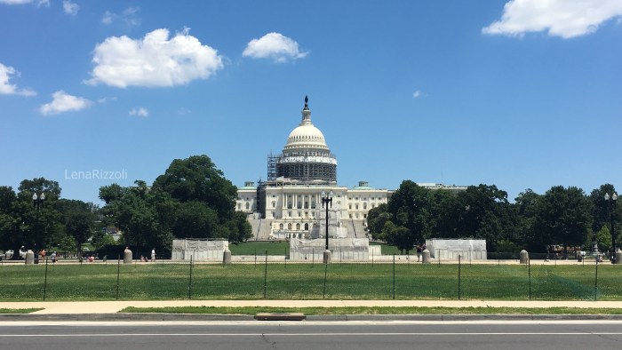 The United States Capitol