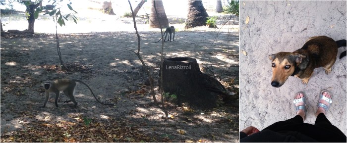 Tanzania - August 2016