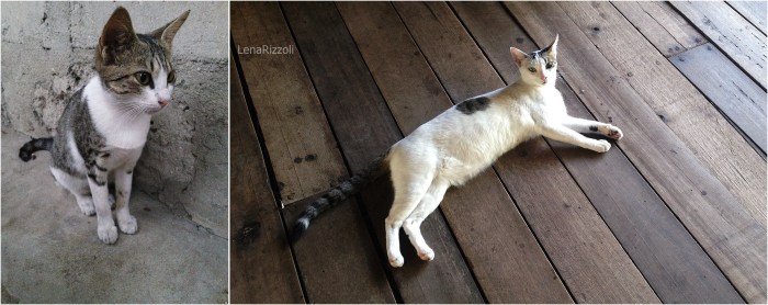 Tanzania - August 2016