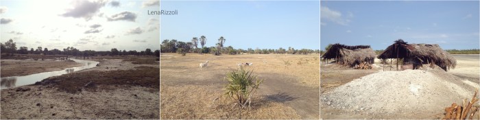 Tanzania - July, August, September 2016